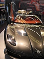 Click image for larger version

Name:	spyker38.jpg
Views:	301
Size:	64.4 KB
ID:	57765