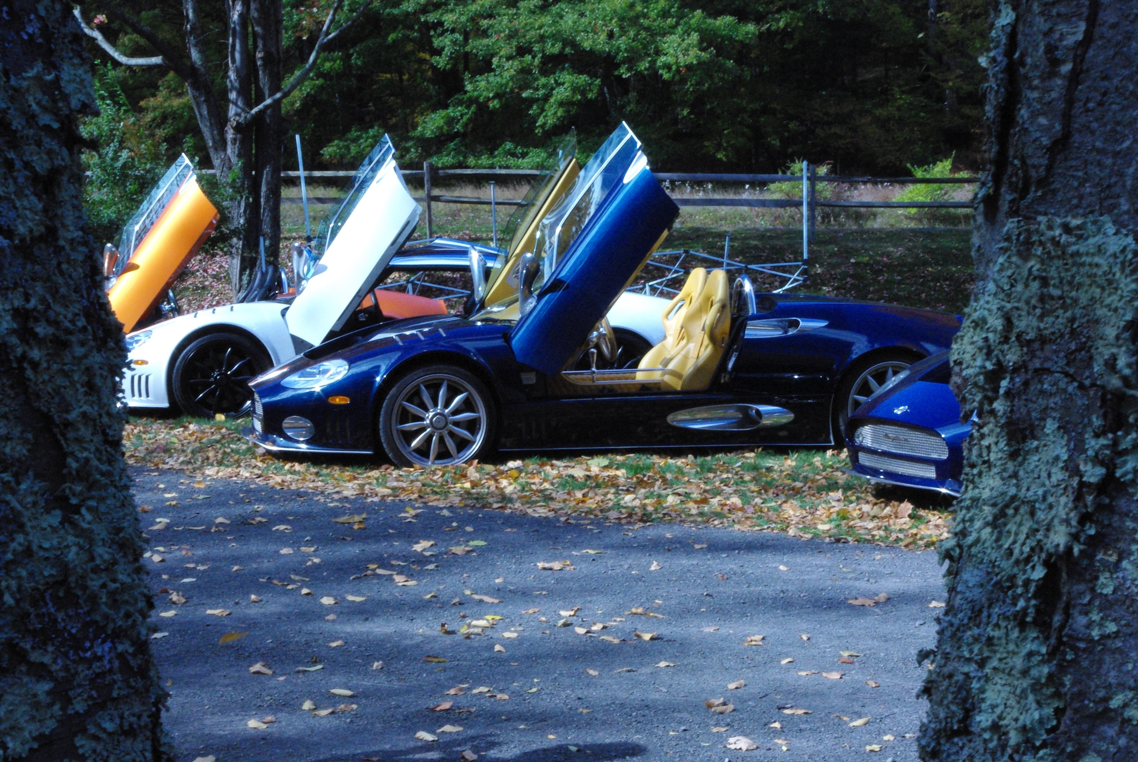 Click image for larger version

Name:	image_18534.jpg
Views:	737
Size:	3.75 MB
ID:	71328