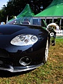Click image for larger version

Name:	spyker5.jpg
Views:	428
Size:	86.3 KB
ID:	57652